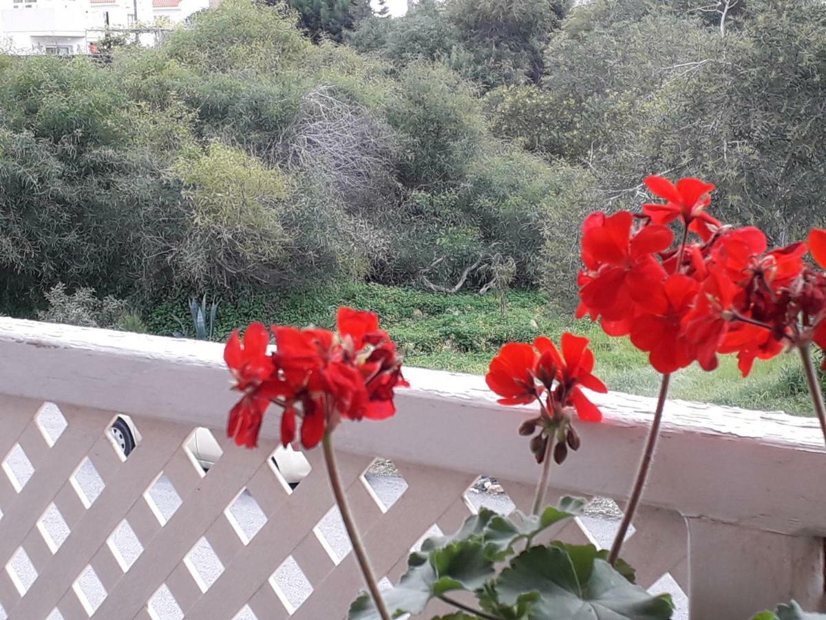 Protaras Happy Sunny Holidays Paralimni Exteriér fotografie